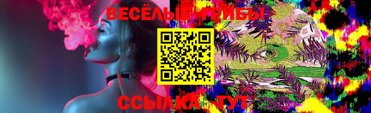 Галлюциногенные грибы Magic Shrooms Черкесск